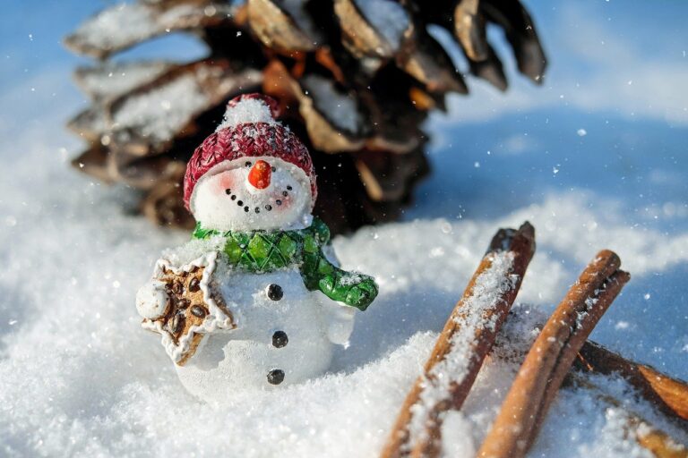 Zo maak je jouw tuin winterklaar